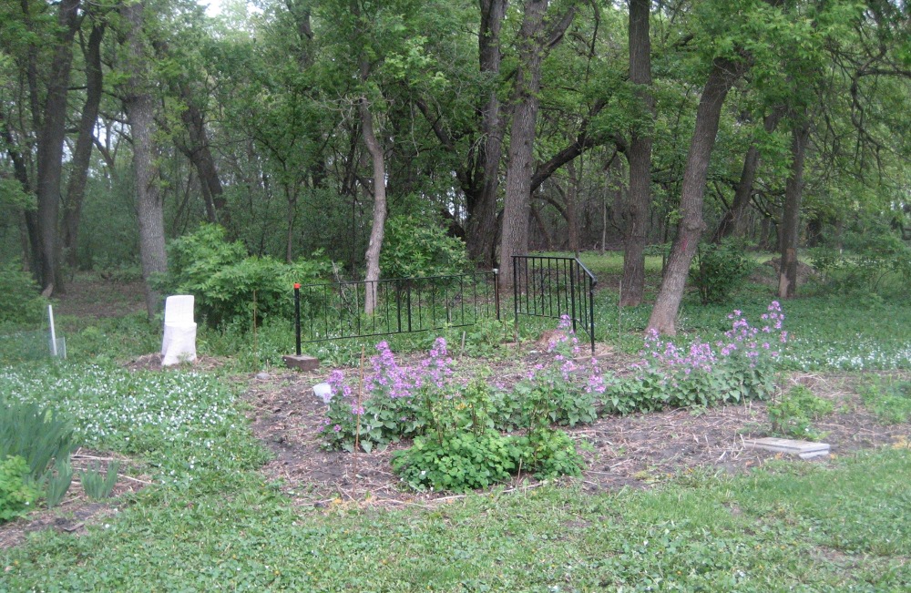 Donna's_west_Garden_2010