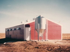 A Finishing Barn construction fall 1979 2