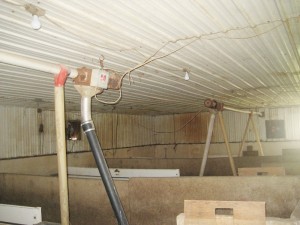 D hog barn inside 2011