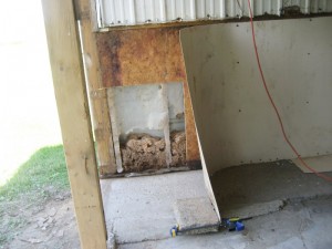 I hog barn wall damage 1