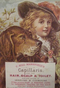Capillaris