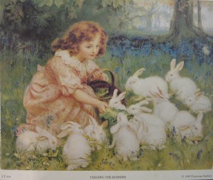 Feeding The Bunnies