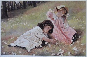 Among the Daisies