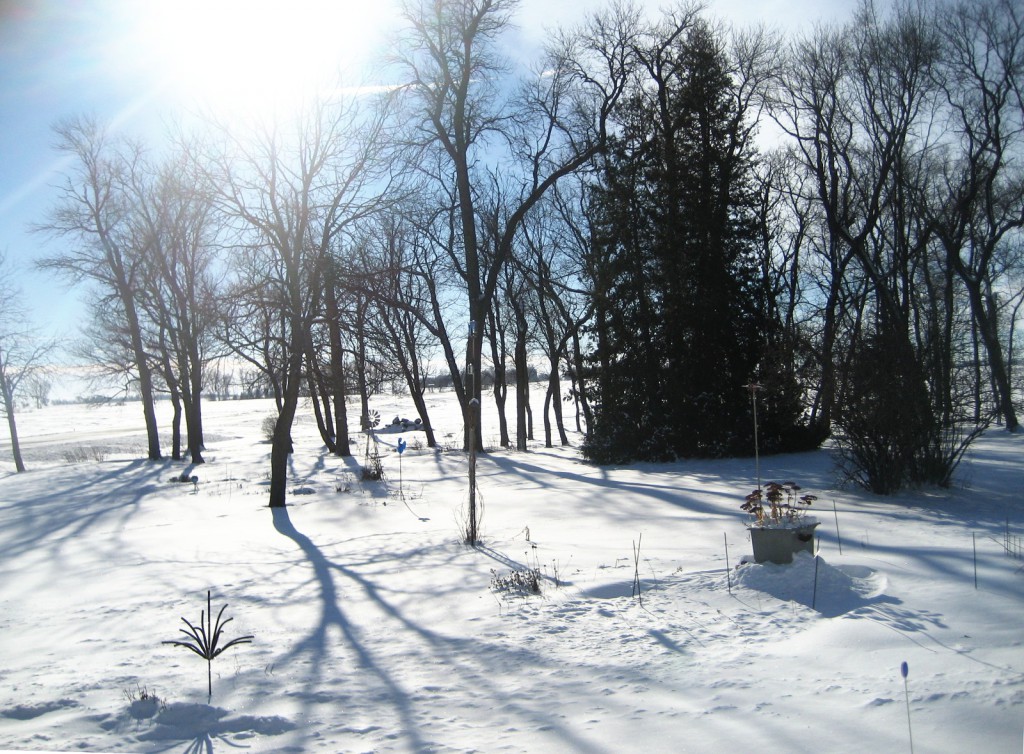Winter December 19, 2016